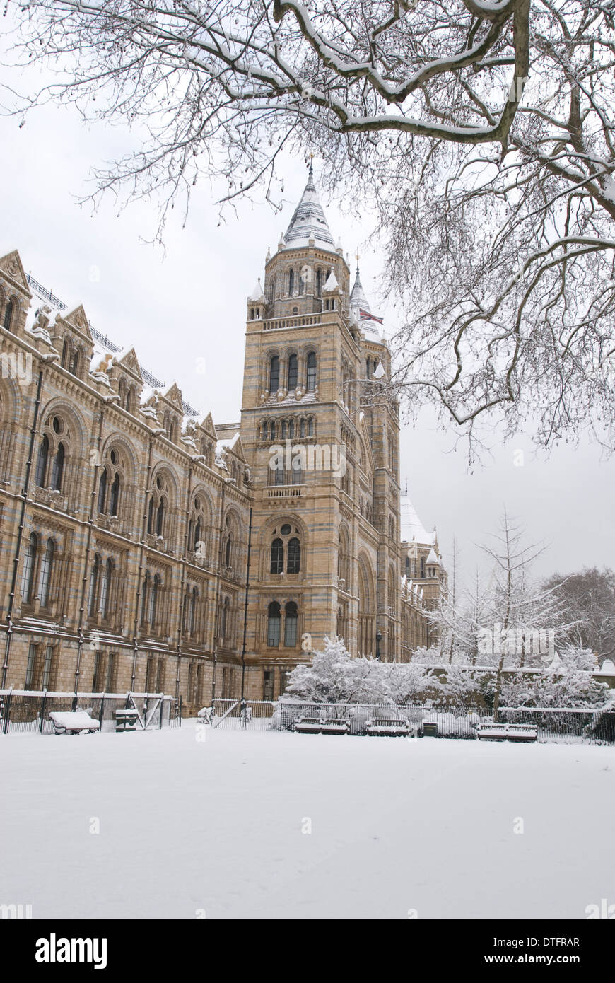 Le Natural History Museum, Londres Banque D'Images