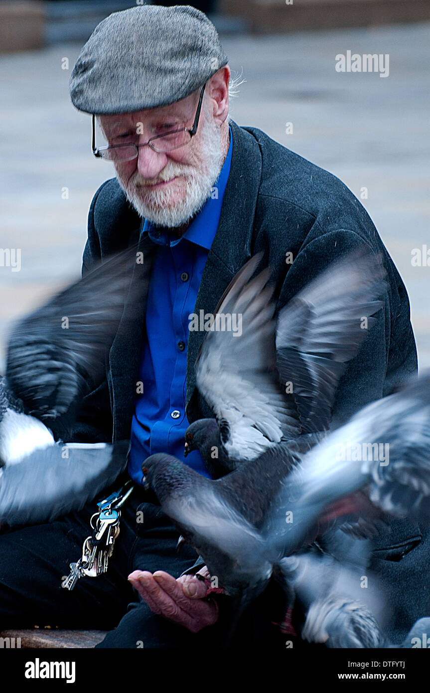 Vieil homme nourrir les pigeons dans Newcastle upon Tyne Belgium Banque D'Images