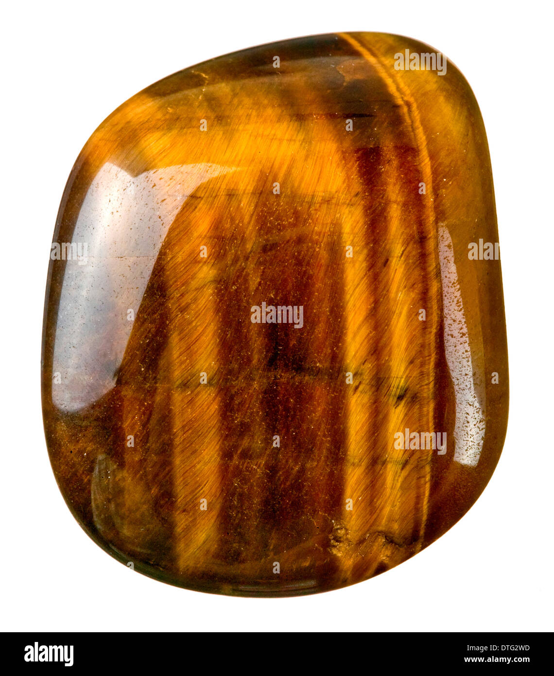 Oeil de tigre. Banque D'Images