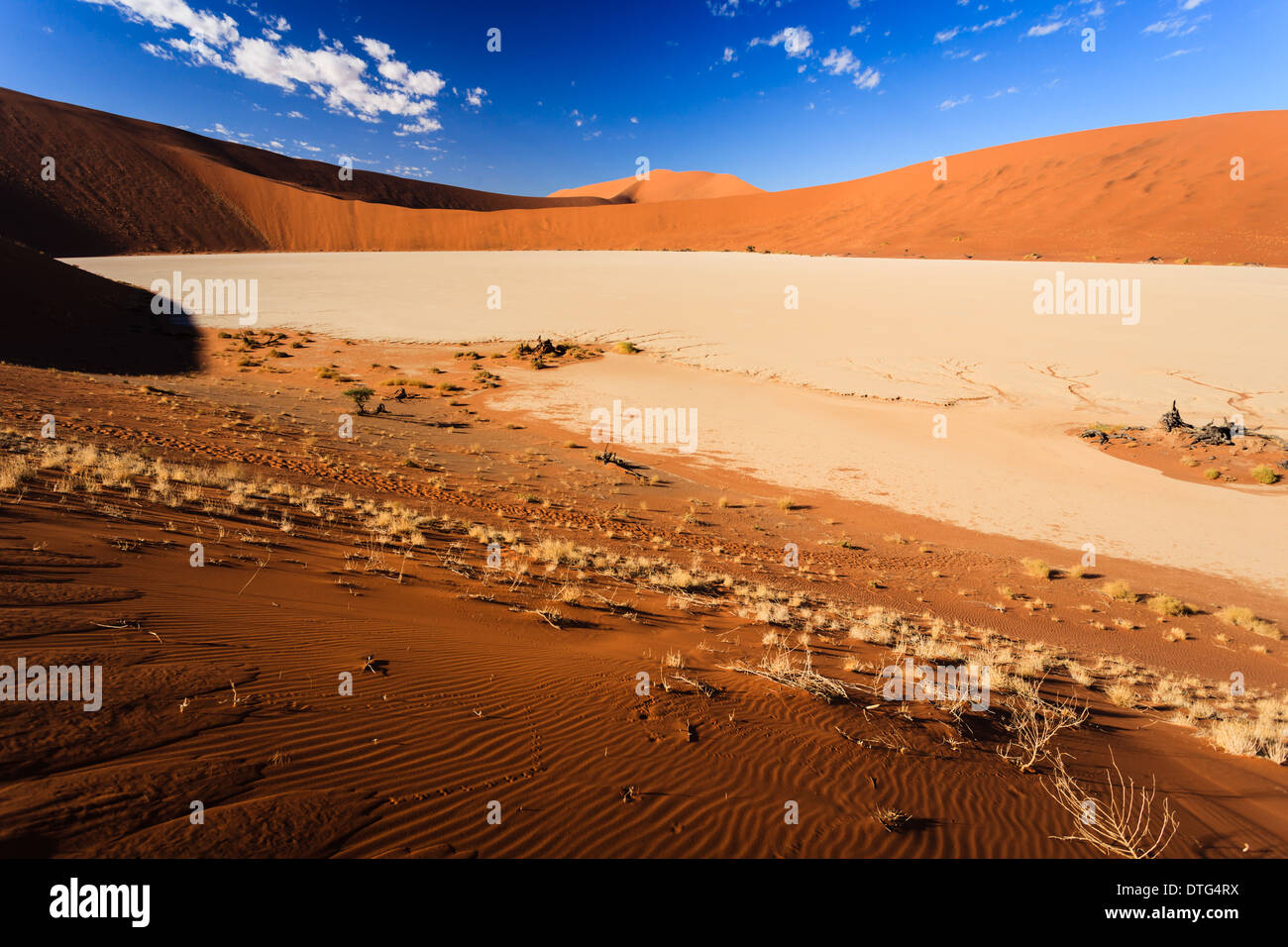 La boue sèche du désert craquelé blanc couleur de modèle par le sel de  l'ancien lit du lac entouré de hautes dunes rouges dans le Namib  Naukluft-nation Photo Stock - Alamy