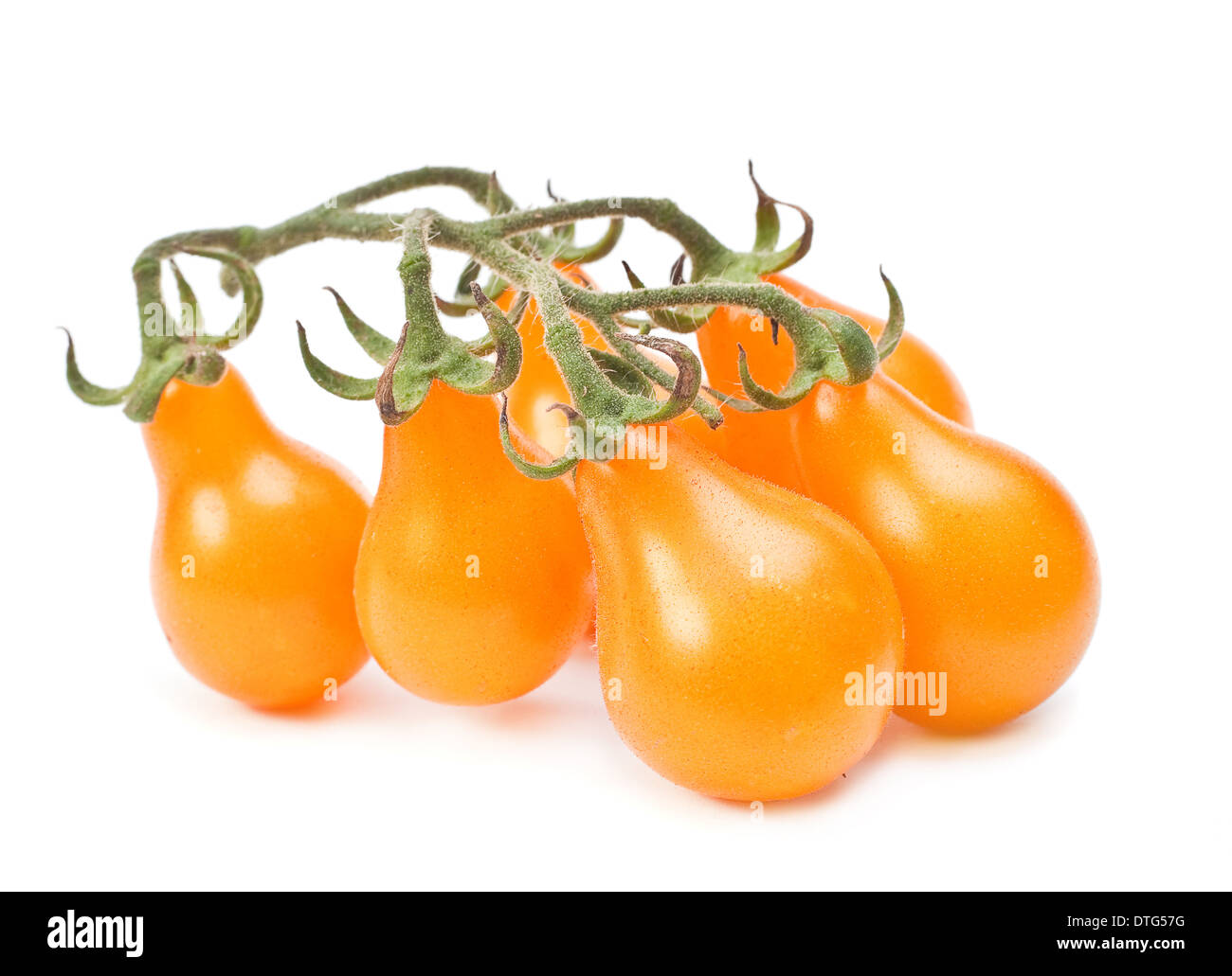 Tomate cerise jaune closeup on white Banque D'Images