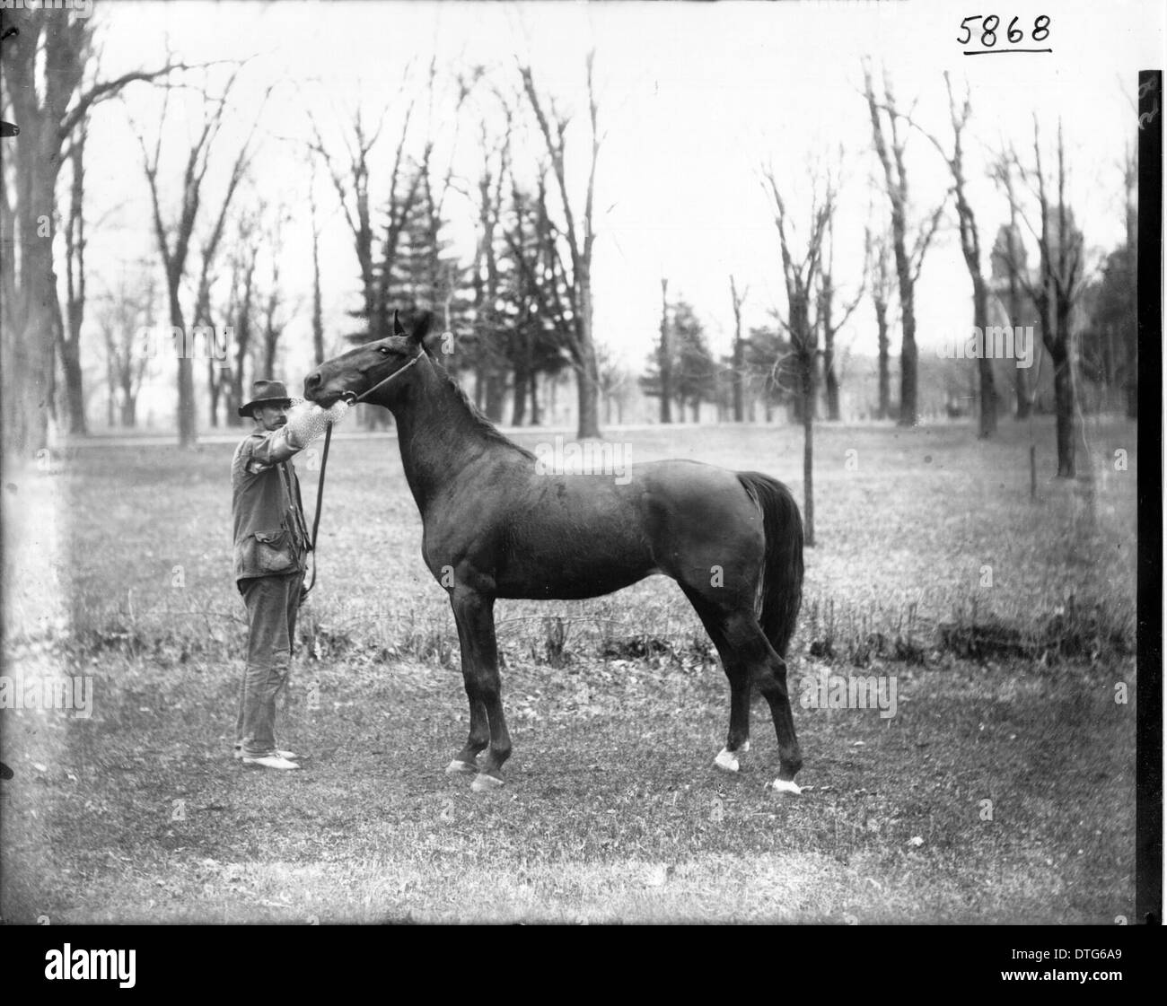 Cette photographie historique montre Morris Weatherby avec un cheval en 1904, capturant un moment de la vie à la campagne. L'image reflète le mode de vie rural et l'importance agricole de l'époque, mettant en valeur le lien entre les humains et les animaux au début du XXe siècle en Amérique. Banque D'Images