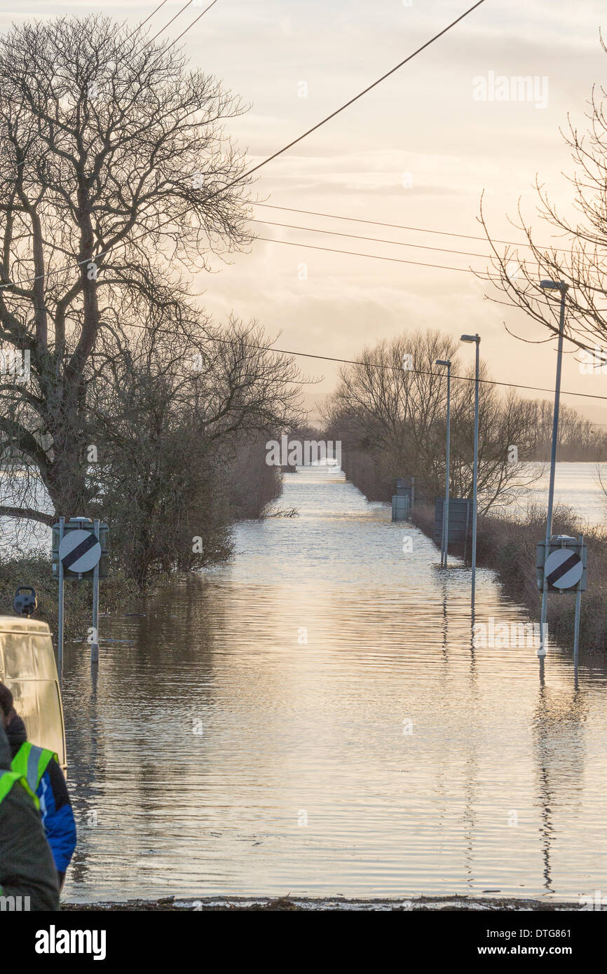 Burrowbridge, Somerset, Royaume-Uni, à 16:30 h le 16 février 2014. L'A361 à Burrowbridge a été fermée par les inondations depuis avant Noël avec aucun signe de soulagement imminent. Les niveaux de crédit : Photography/Alamy Live News Banque D'Images