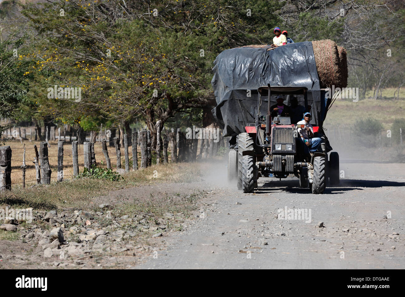 Tracteur transportant du foin, Cosigüina, péninsule au nord-ouest du Nicaragua Banque D'Images