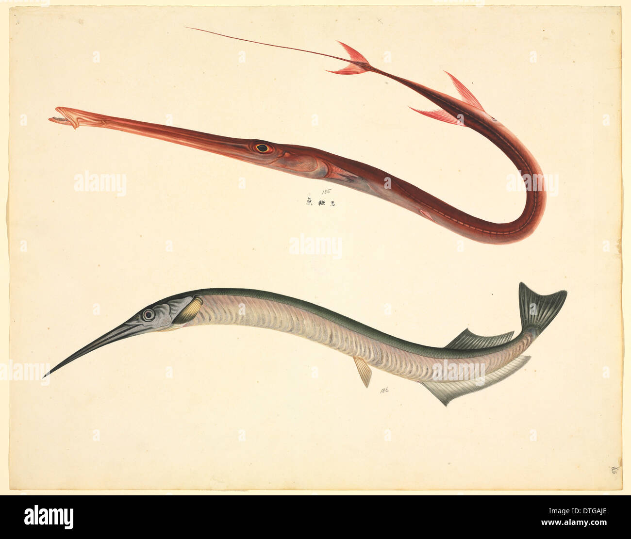 La plaque de la 154 LS John Reeves Collection Banque D'Images