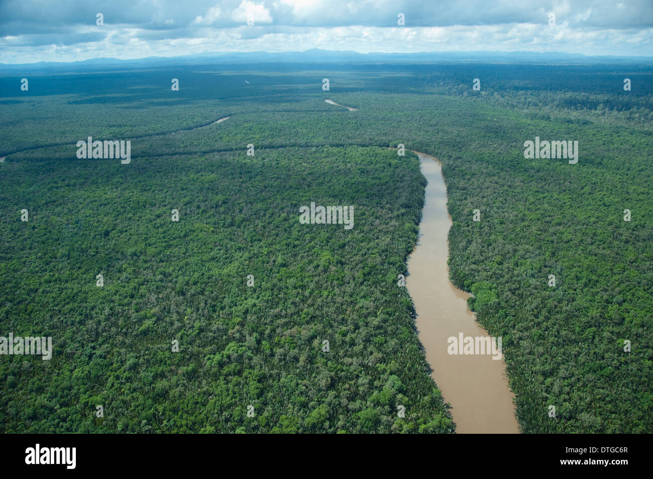 Vue aérienne de la rivière Kinabatangan, Sabah, Malaisie Banque D'Images