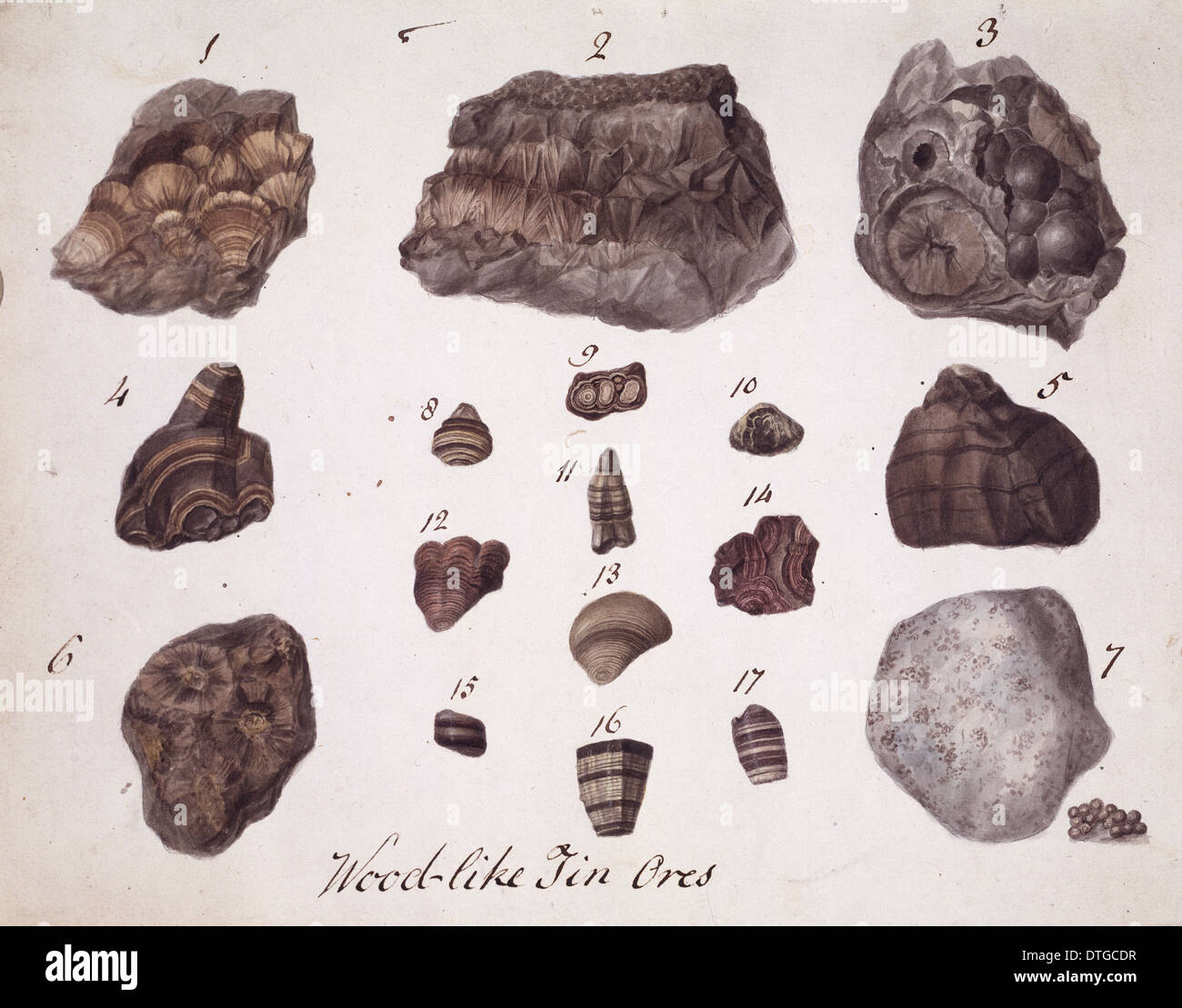 Planche 1 de spécimens de minéraux britannique ? Tome 1 par P. Rashleigh (1797) Banque D'Images