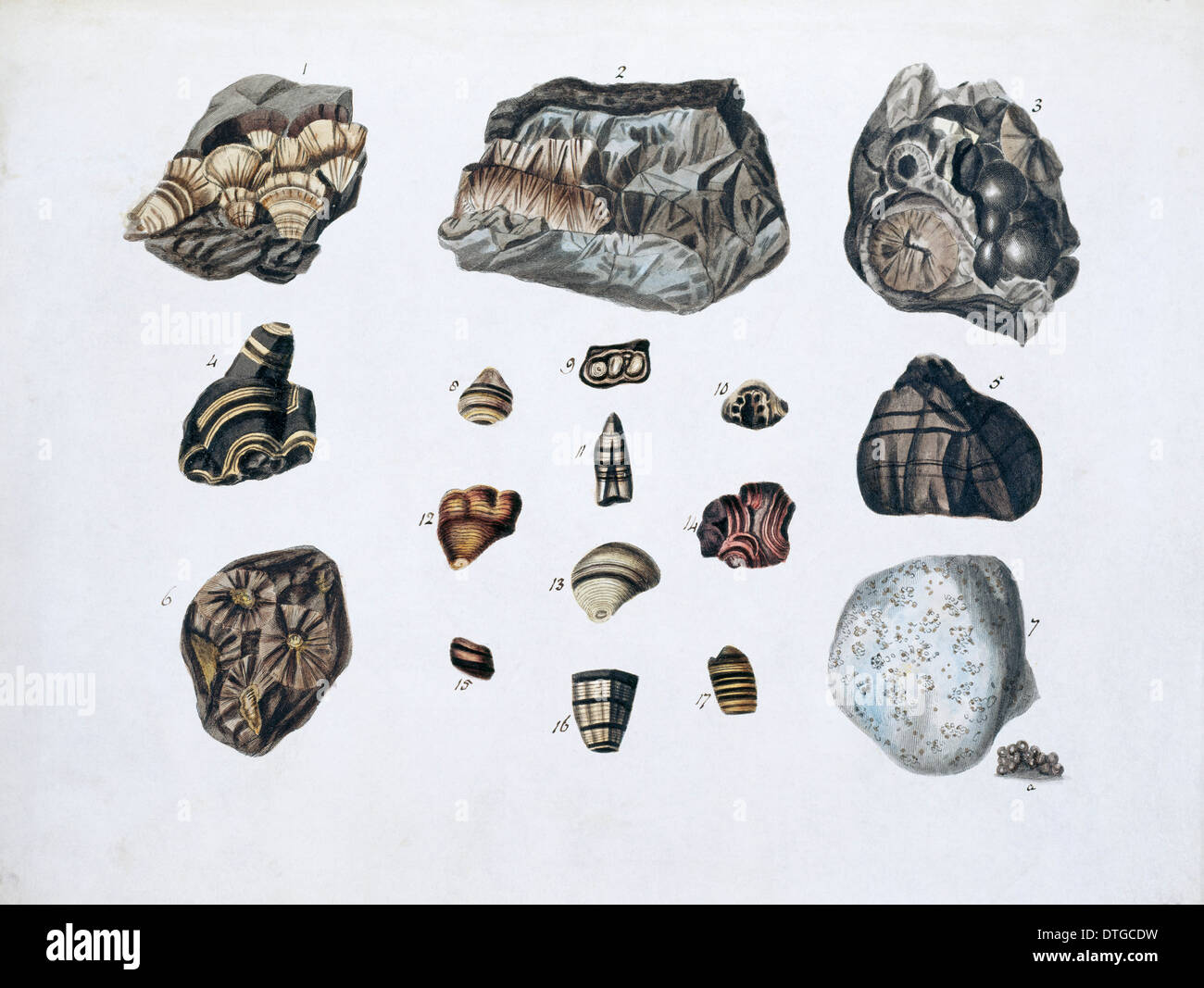 2a à partir de spécimens de minéraux britannique ? Tome 1 par P. Rashleigh (1797) Banque D'Images