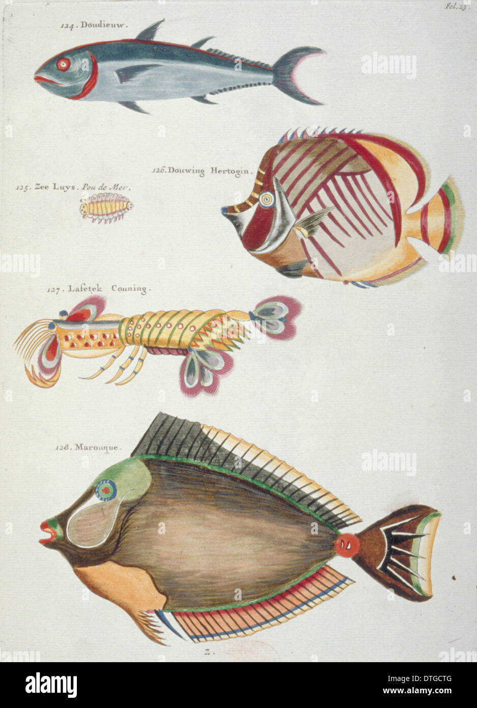 Illustration en couleur de trois poissons et deux crustacés Banque D'Images