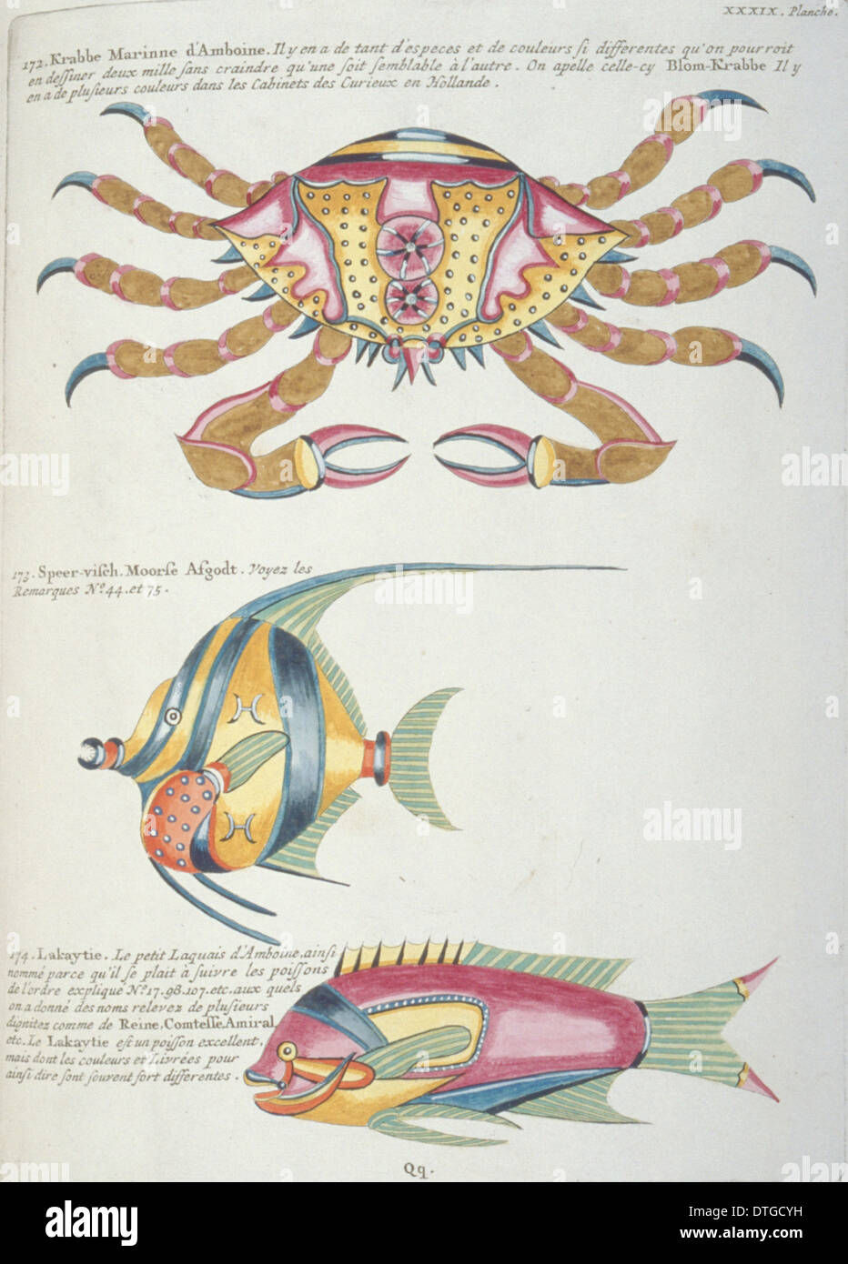 Illustration colorée de deux poissons et d'un crabe Banque D'Images