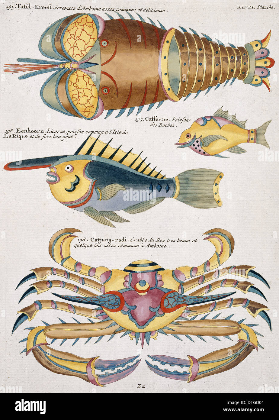 Illustration colorée de deux poissons, un crabe et l'écrevisse Banque D'Images