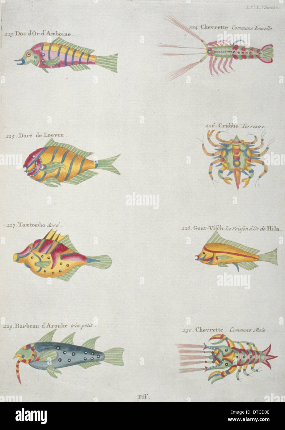 Illustration colorée de cinq poissons, deux homards et un crabe Banque D'Images