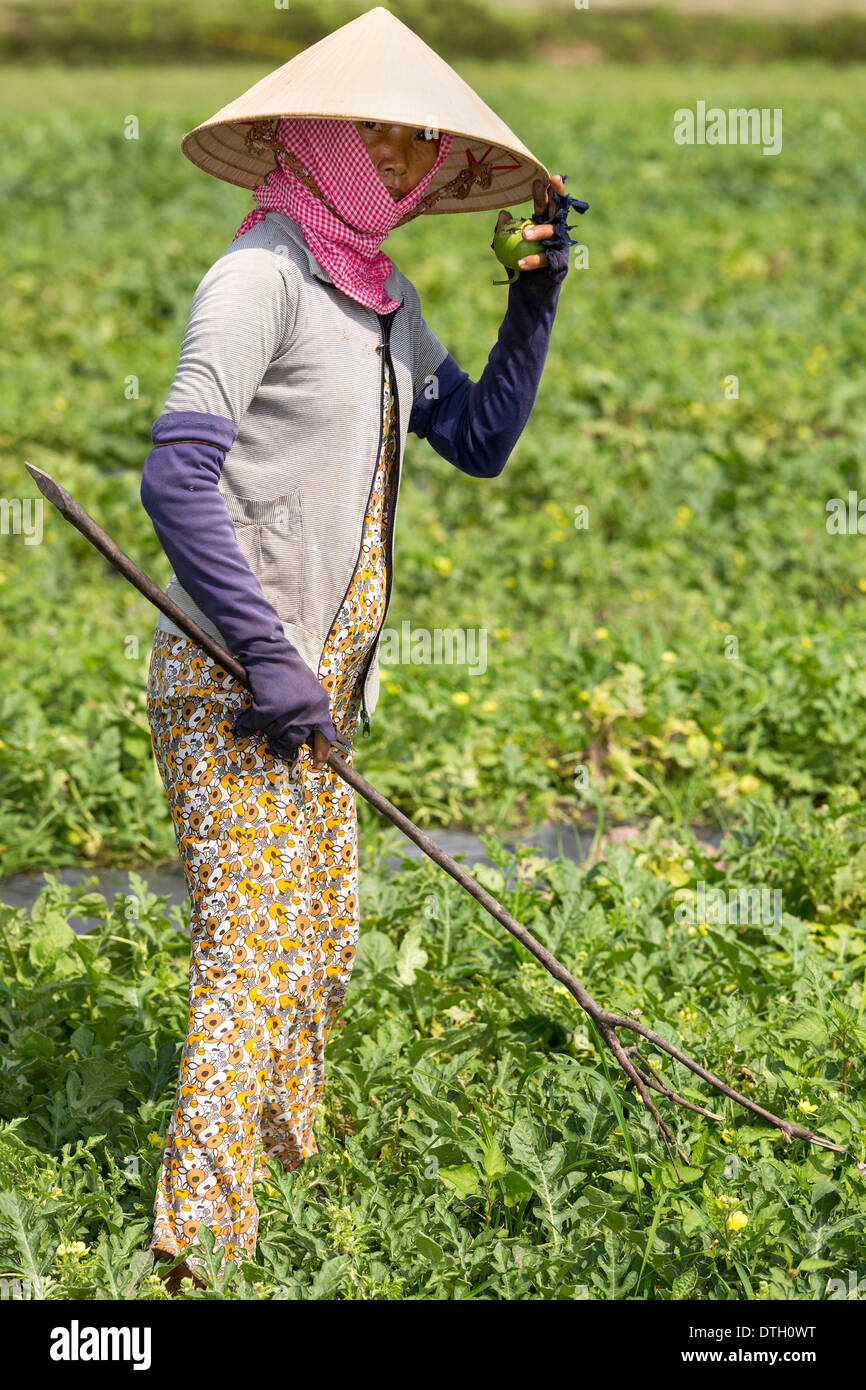 L'agriculture dans la province de Tay Ninh, Vietnam du Sud Banque D'Images