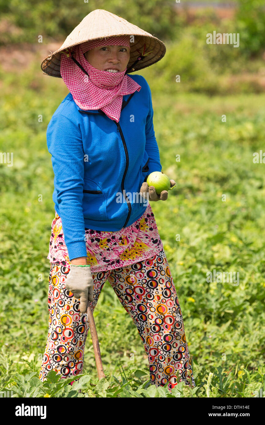L'agriculture dans la province de Tay Ninh, Vietnam du Sud Banque D'Images