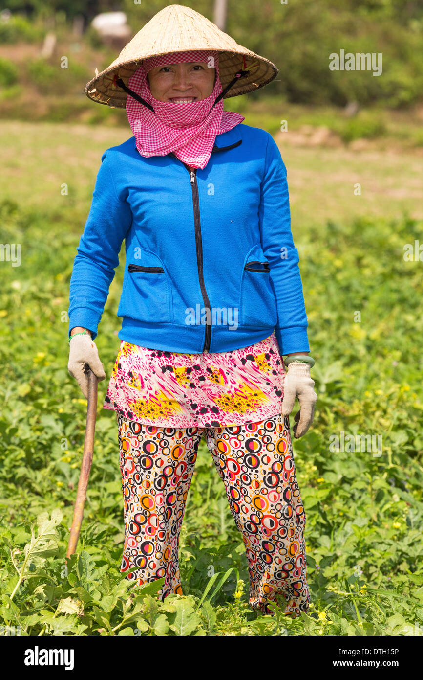 L'agriculture dans la province de Tay Ninh, Vietnam du Sud Banque D'Images