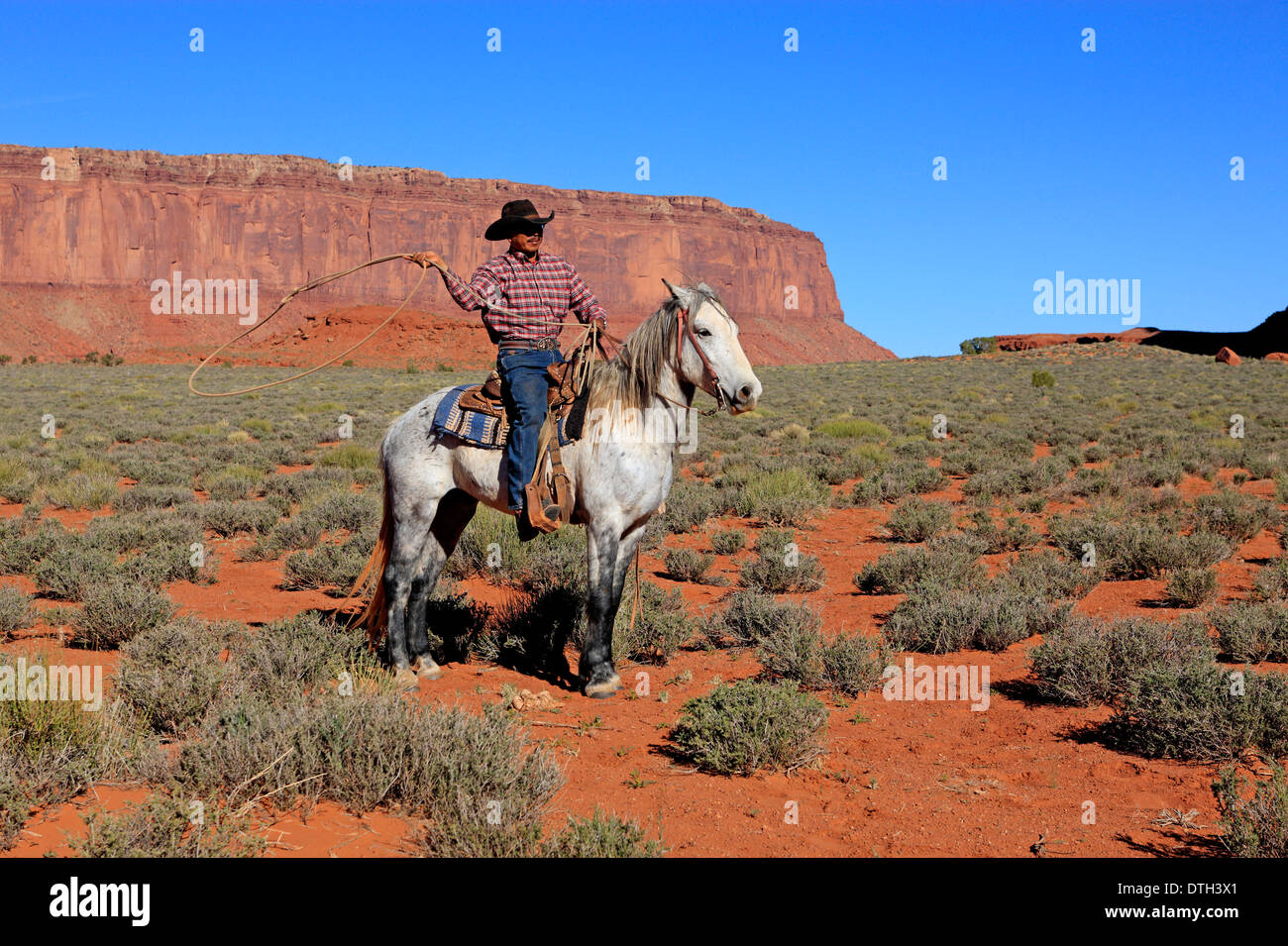 Cowboy Navajo, Mustang, amérindiens, Monument Valley, Utah, USA Banque D'Images