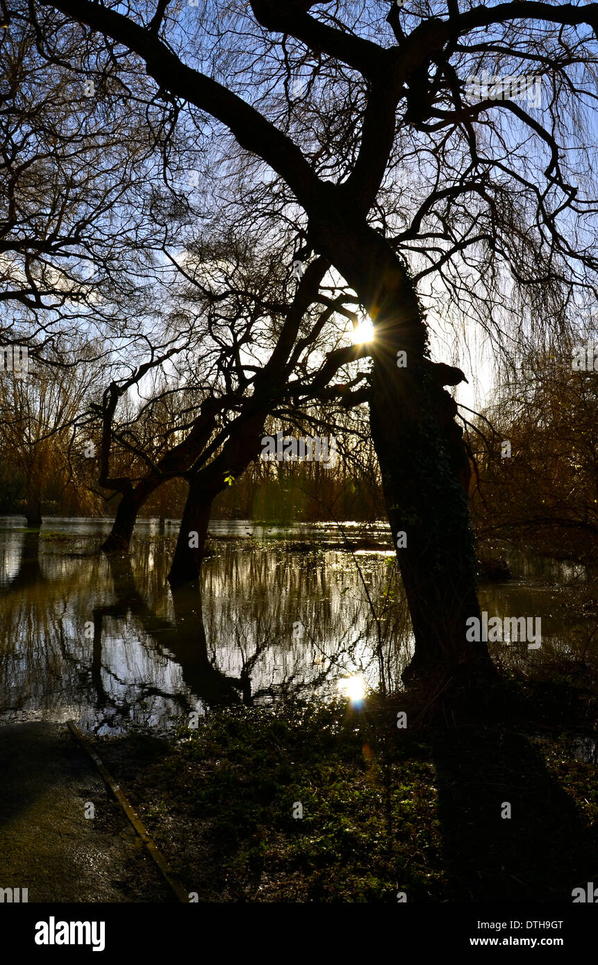 Les inondations à Bedford, la grande rivière Ouse. Banque D'Images