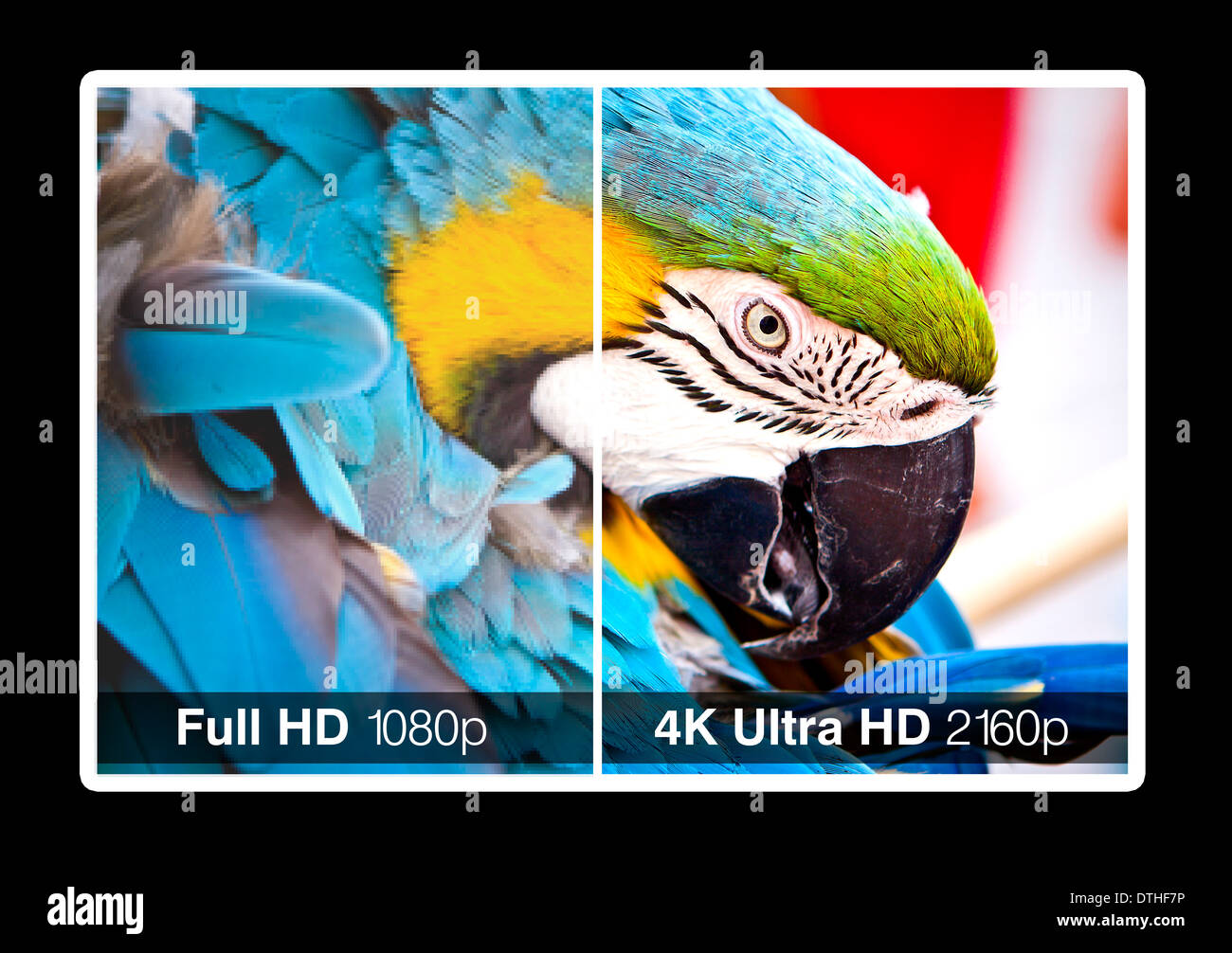 4K écran de télévision avec comparaison des résolutions. En ultra HD sur TV  moderne Photo Stock - Alamy