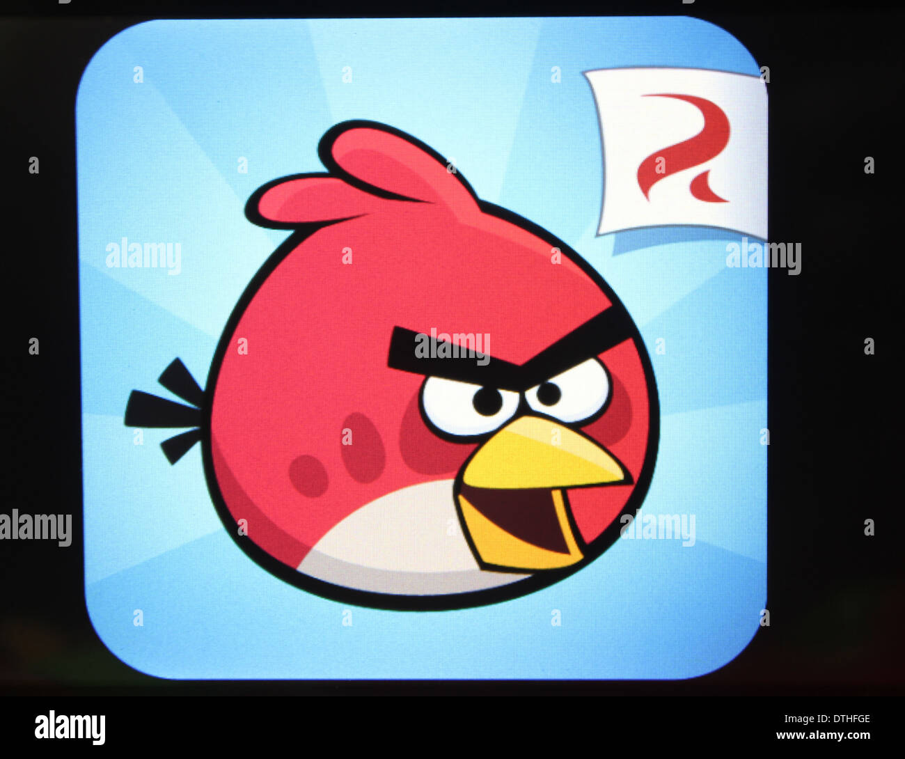 Oiseaux en colère Banque D'Images