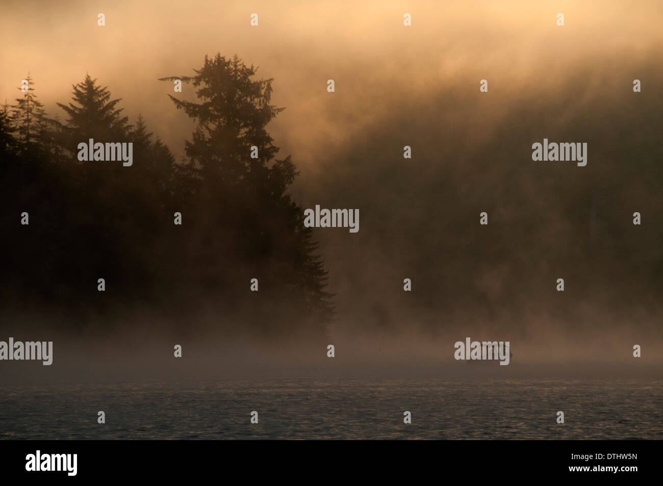 Brume sur Tahkenitch Lake, Oregon Dunes National Recreation Area, New York Banque D'Images