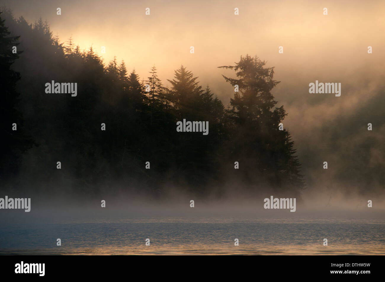 Brume sur Tahkenitch Lake, Oregon Dunes National Recreation Area, New York Banque D'Images