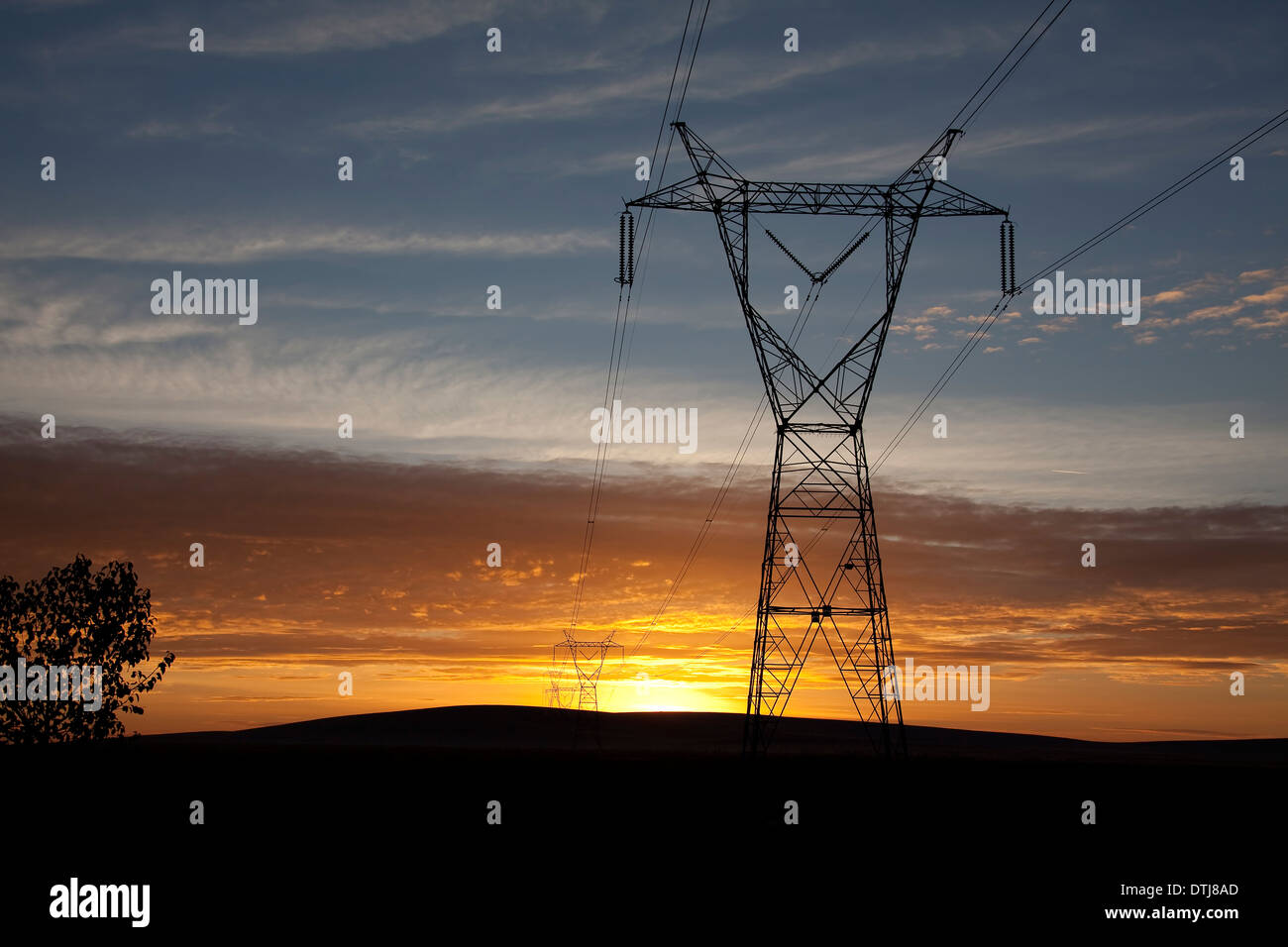 Lignes de transport d'électricité Banque D'Images