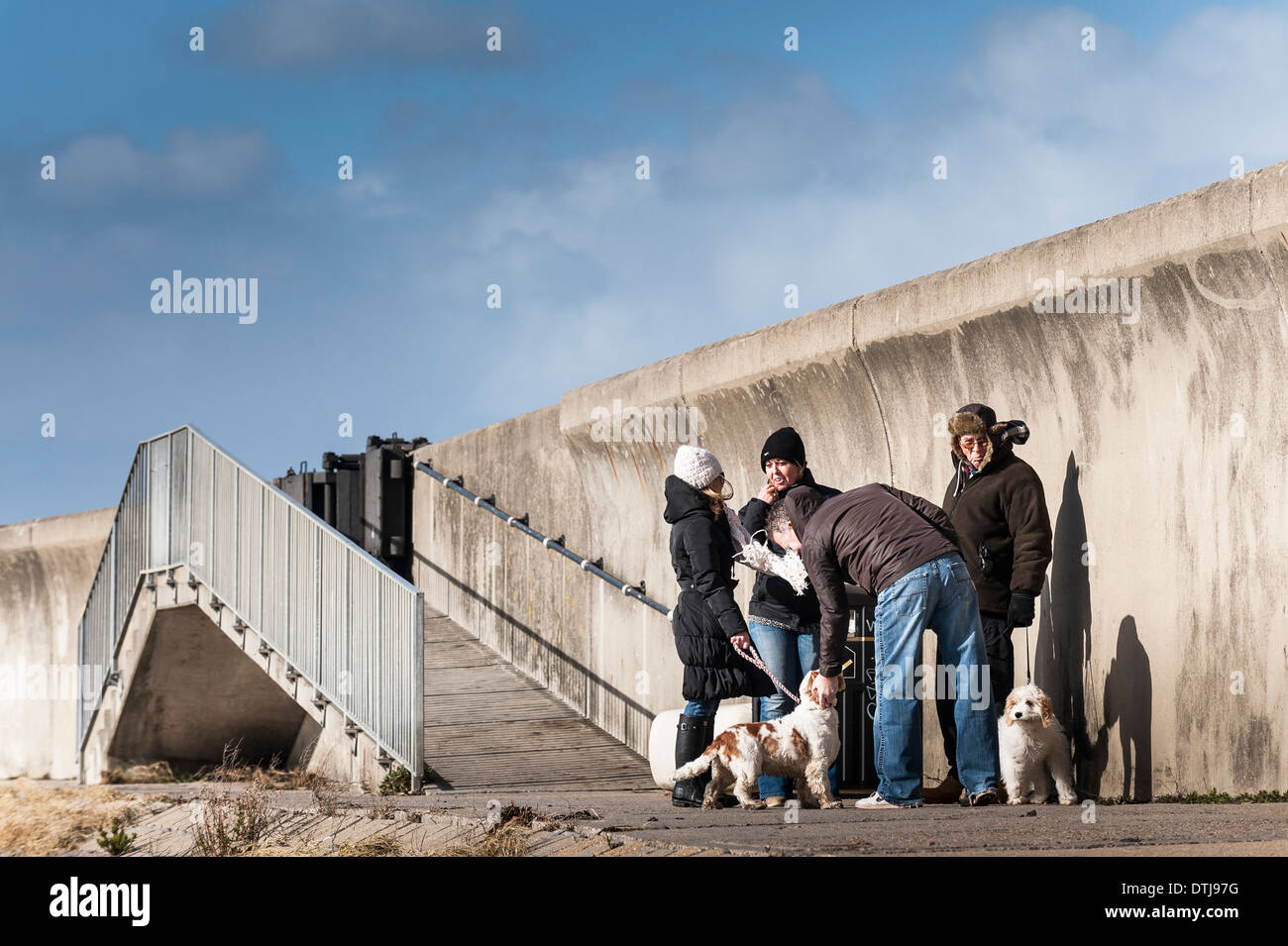 Un groupe de promeneurs de chiens réunion sur le mur à Southend-on-sea dans l'Essex. Banque D'Images