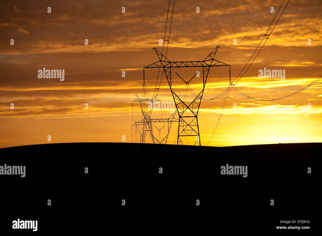 Lignes de transport d'électricité Banque D'Images