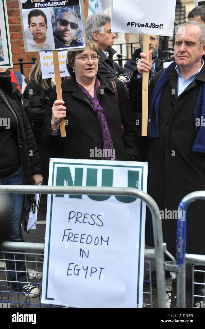 South Street, London, UK. 19 février 2014. Les bannières sont tenues d'en face de l'ambassade d'Égypte en tant que membres du NUJ exiger la libération des journalistes détenus en Egypte. Crédit : Matthieu Chattle/Alamy Live News Banque D'Images