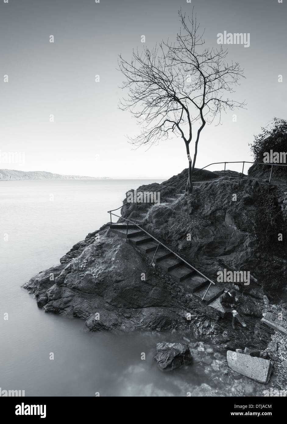 Arbre de la Sérénité à Babbacombe, Torquay Banque D'Images