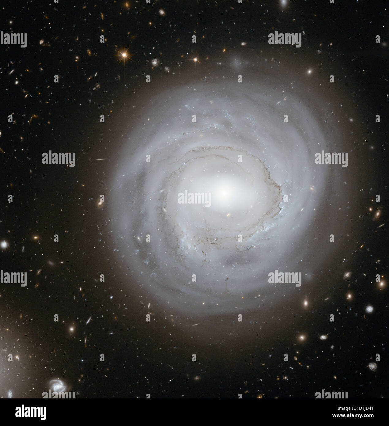 Ce télescope spatial Hubble vue montre la galaxie spirale NGC 4921 ainsi qu'une spectaculaire toile de plus lointaines galaxies. Banque D'Images