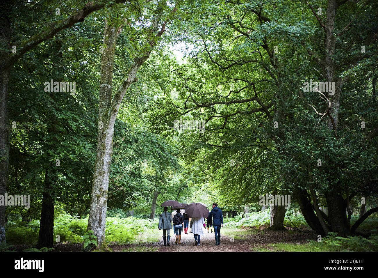 Une fête familiale retour voir marcher à travers la forêt sous la pluie avec des parapluies Banque D'Images