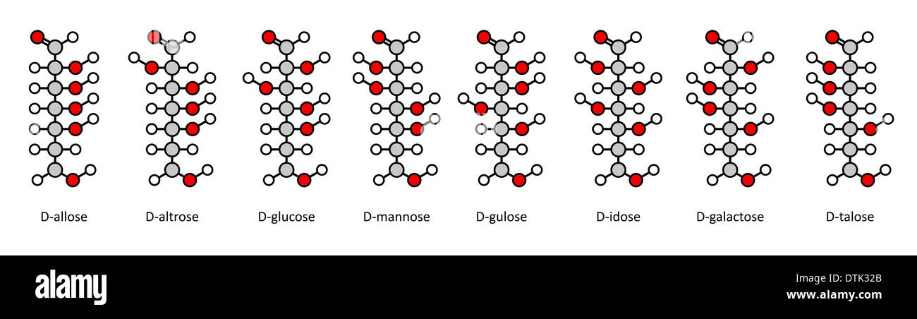 D-le glucose sucres : allose altrose,, glucose, mannose, gulose idose,, galactose, talose. Fischer-comme des projections. Banque D'Images