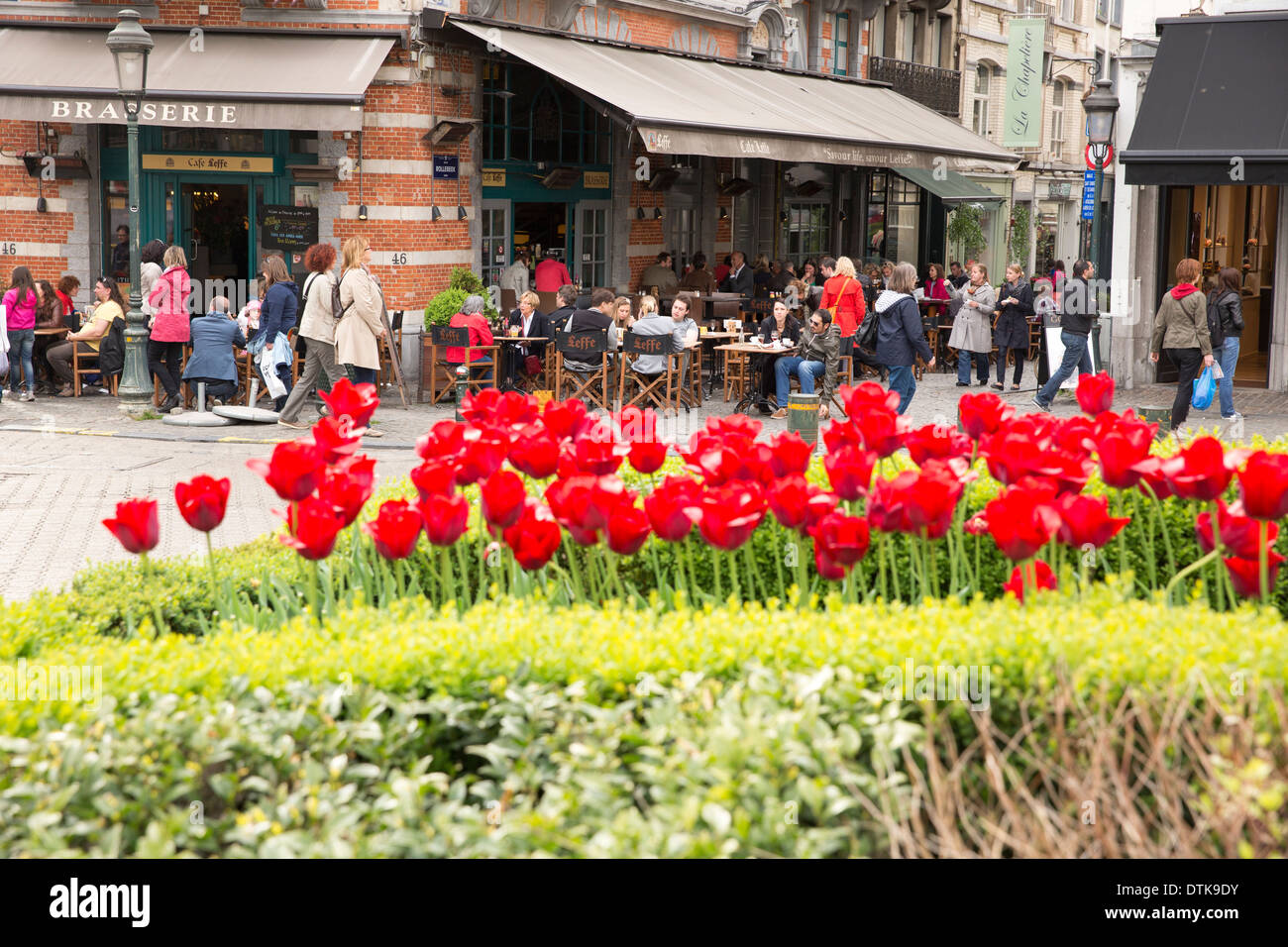 Brasserie à Bruxelles avec des tulipes poussant sur un rond-point Banque D'Images