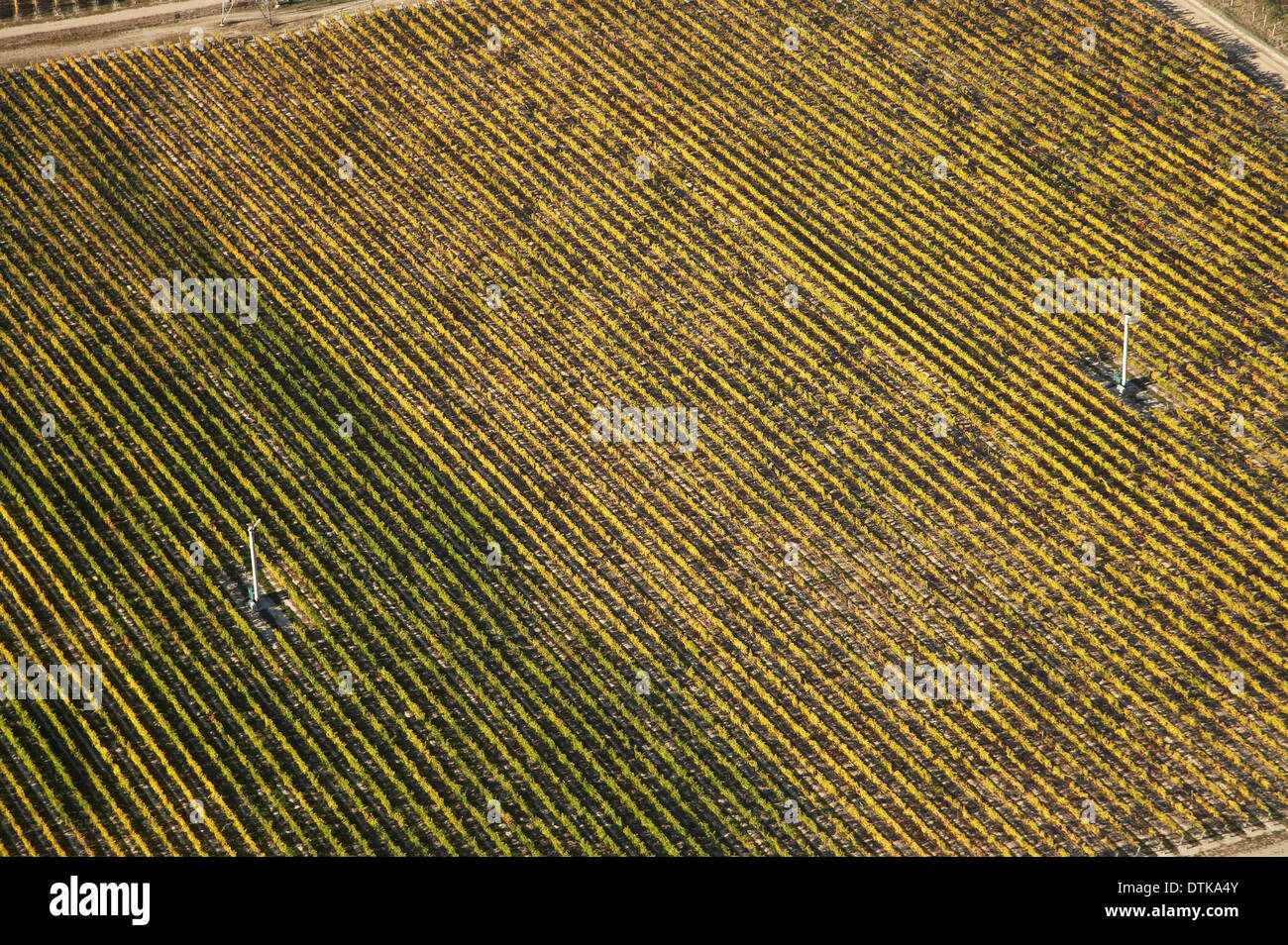 Vignoble et machines du vent, Bannockburn, Central Otago, île du Sud, Nouvelle-Zélande - vue aérienne Banque D'Images