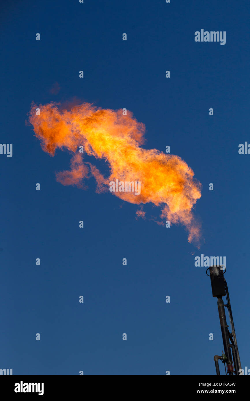 L'excès de gaz est brûlé sur un puits de pétrole dans les régions rurales du comté de Jim Wells, South Texas près de Hebbronville. Banque D'Images