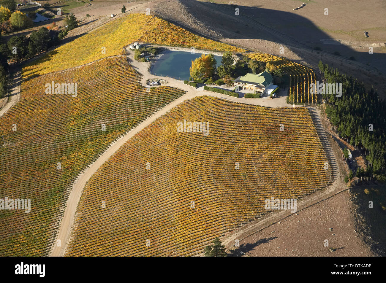 Vignoble, Ripponvale, près de Cromwell, Central Otago, île du Sud, Nouvelle-Zélande - vue aérienne Banque D'Images