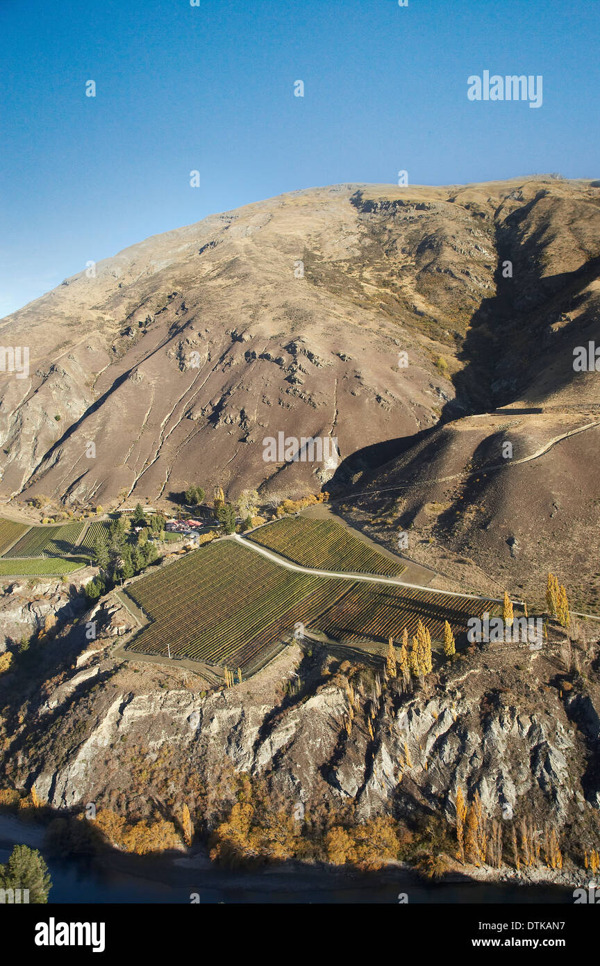 Chard Farm Vineyard, et de la rivière Kawarau, Gibbston Valley, Otago, île du Sud, Nouvelle-Zélande - vue aérienne Banque D'Images