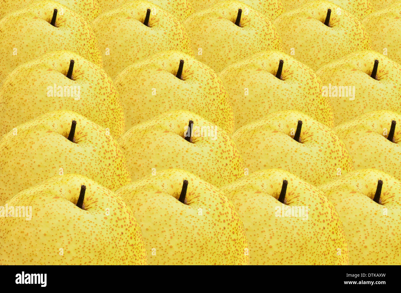 Arrière-plan de poire chinoise Banque D'Images