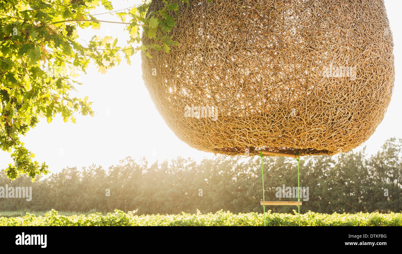 Suspendu à l'échelle de la maison dans l'arbre de nidification Banque D'Images