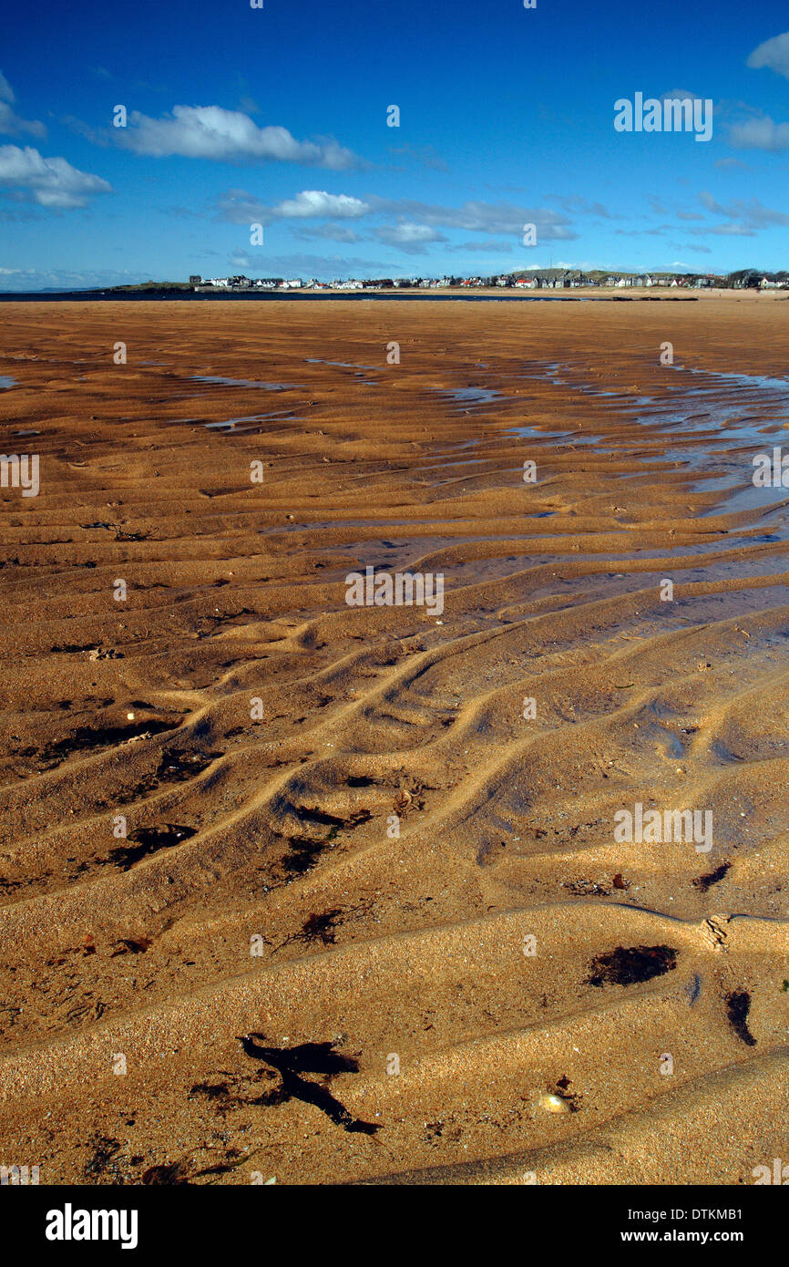Les ondulations du sable sur la plage à Elie, l'East Neuk de Fife, Scotland Banque D'Images