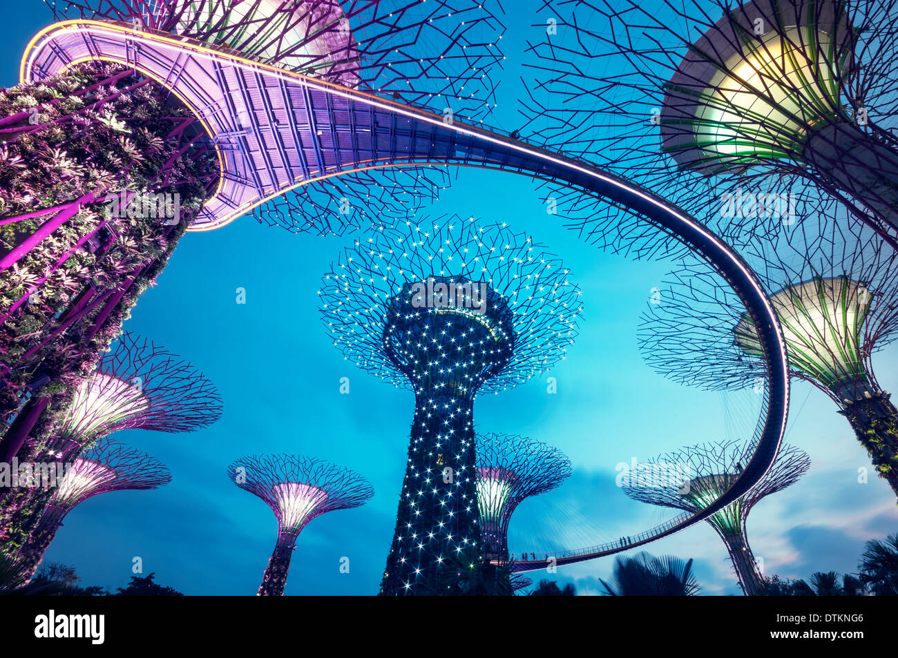 Vue de la nuit de l'Supertree Grove dans le jardin par la baie à Singapour Banque D'Images