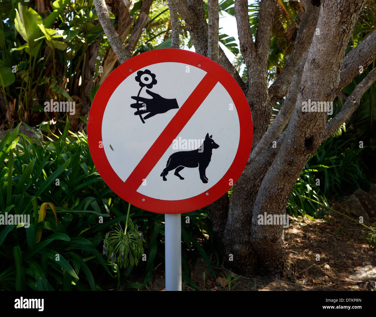 Panneau indiquant pas de chien et pas de cueillette de fleurs. Banque D'Images