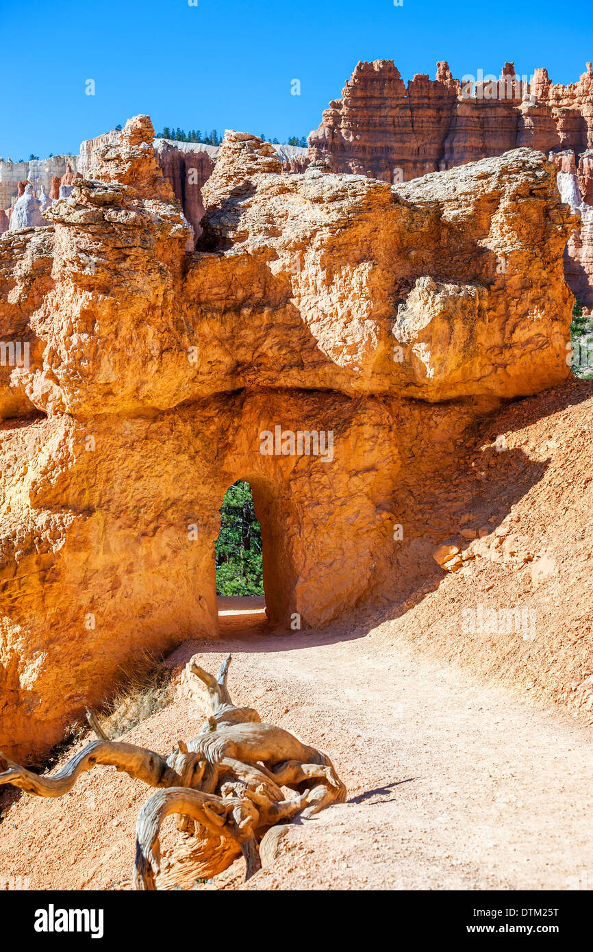 Balade arch dans le Parc National de Bryce Canyon, UT Banque D'Images