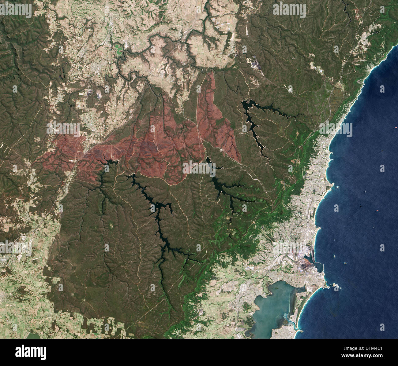 Feu de forêt près de Sydney Australie Brûlées Banque D'Images
