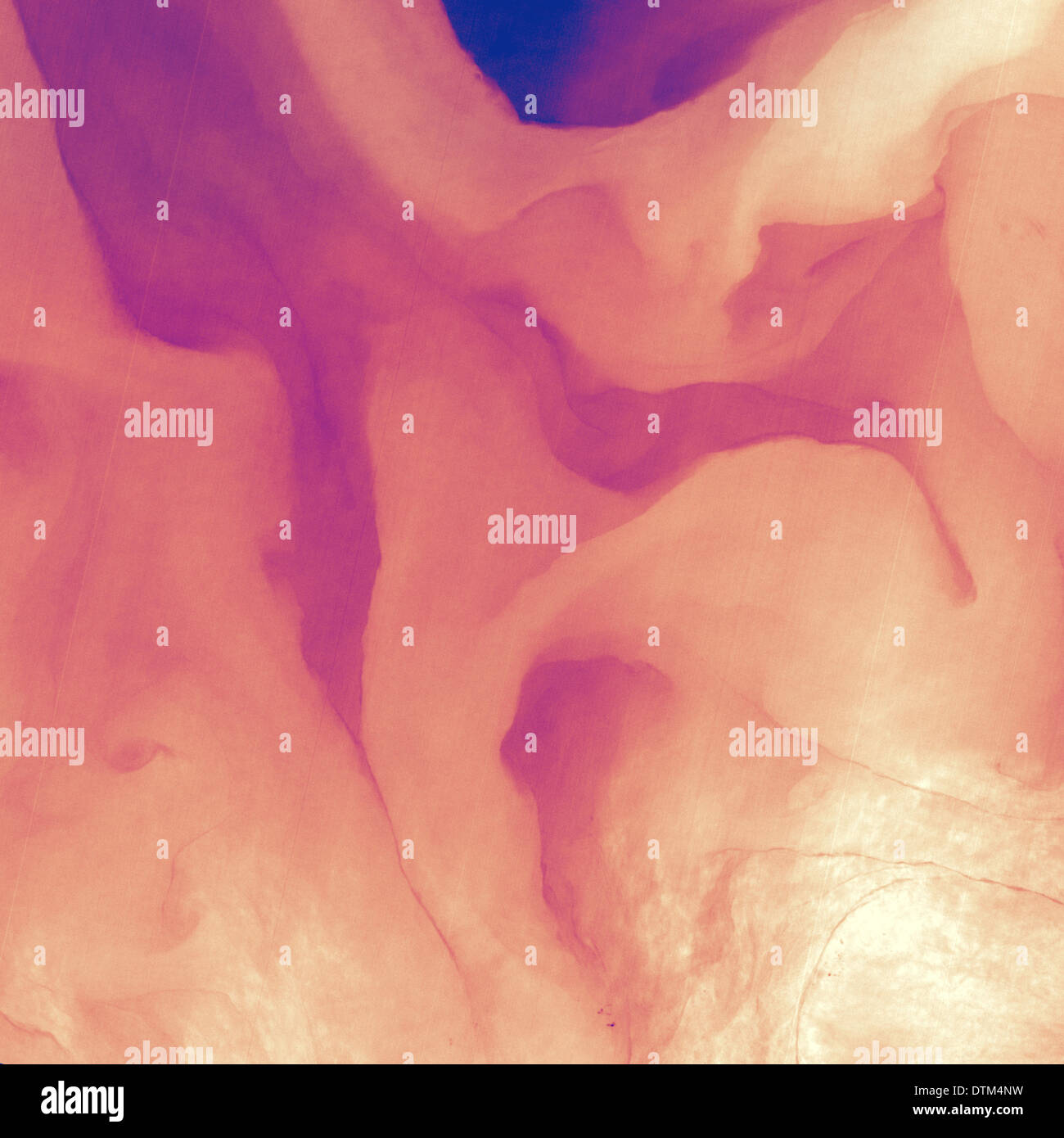 Carte de chaleur en fausses couleurs du Gulf Stream dans l'océan Atlantique. Banque D'Images
