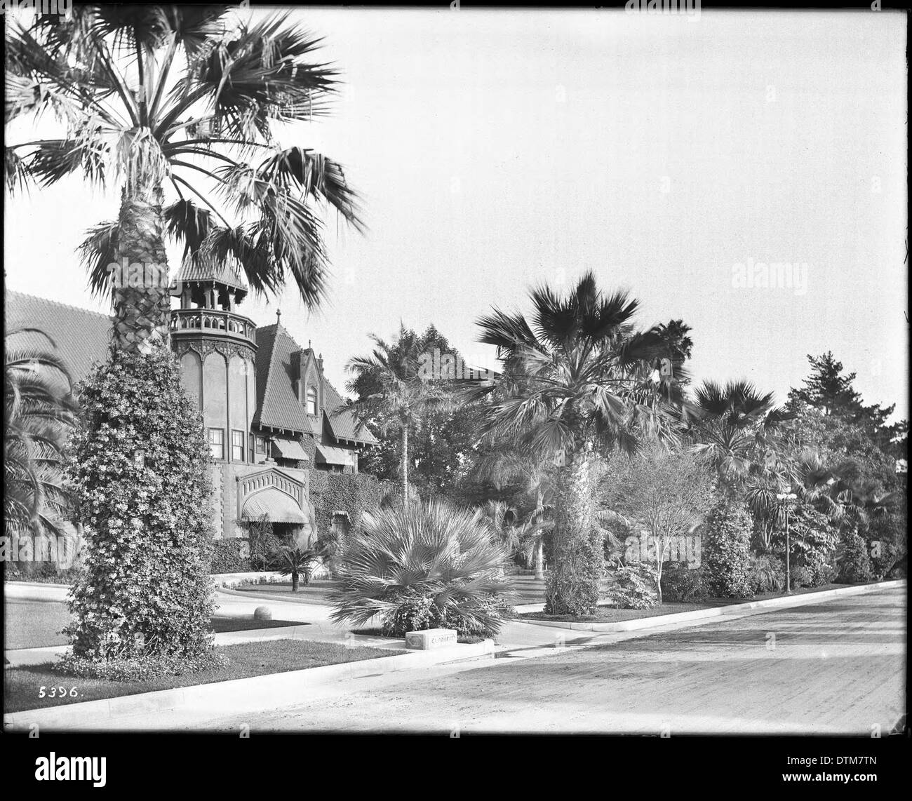 Photographie des palmiers bordant la façade de la résidence E.L. Doheny située sur Chester place à Los Angeles, prise vers 1910. Banque D'Images