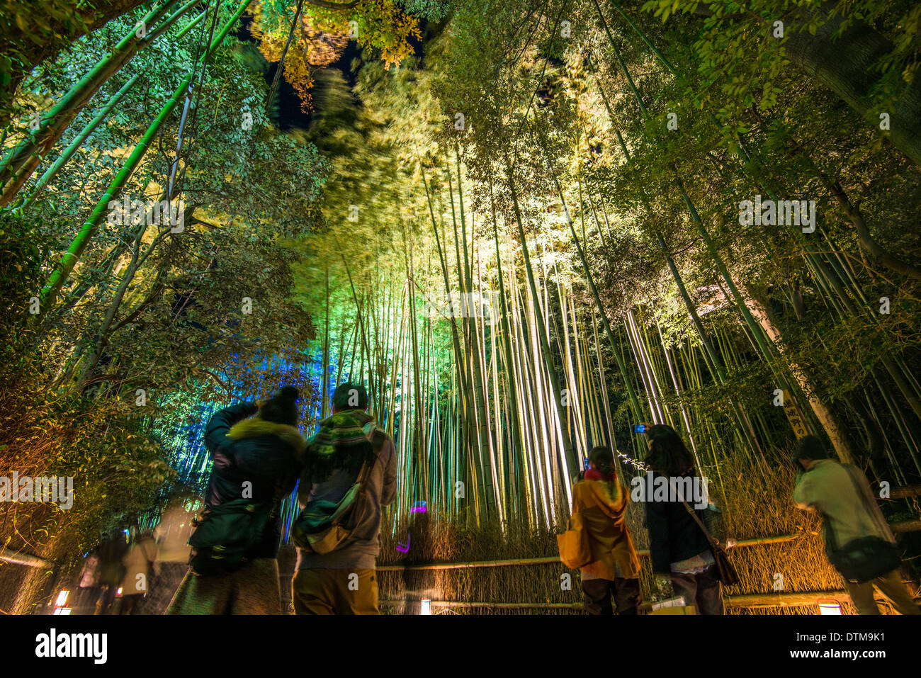 Forêt de bambou de Kyoto, au Japon, dans la nuit. Banque D'Images