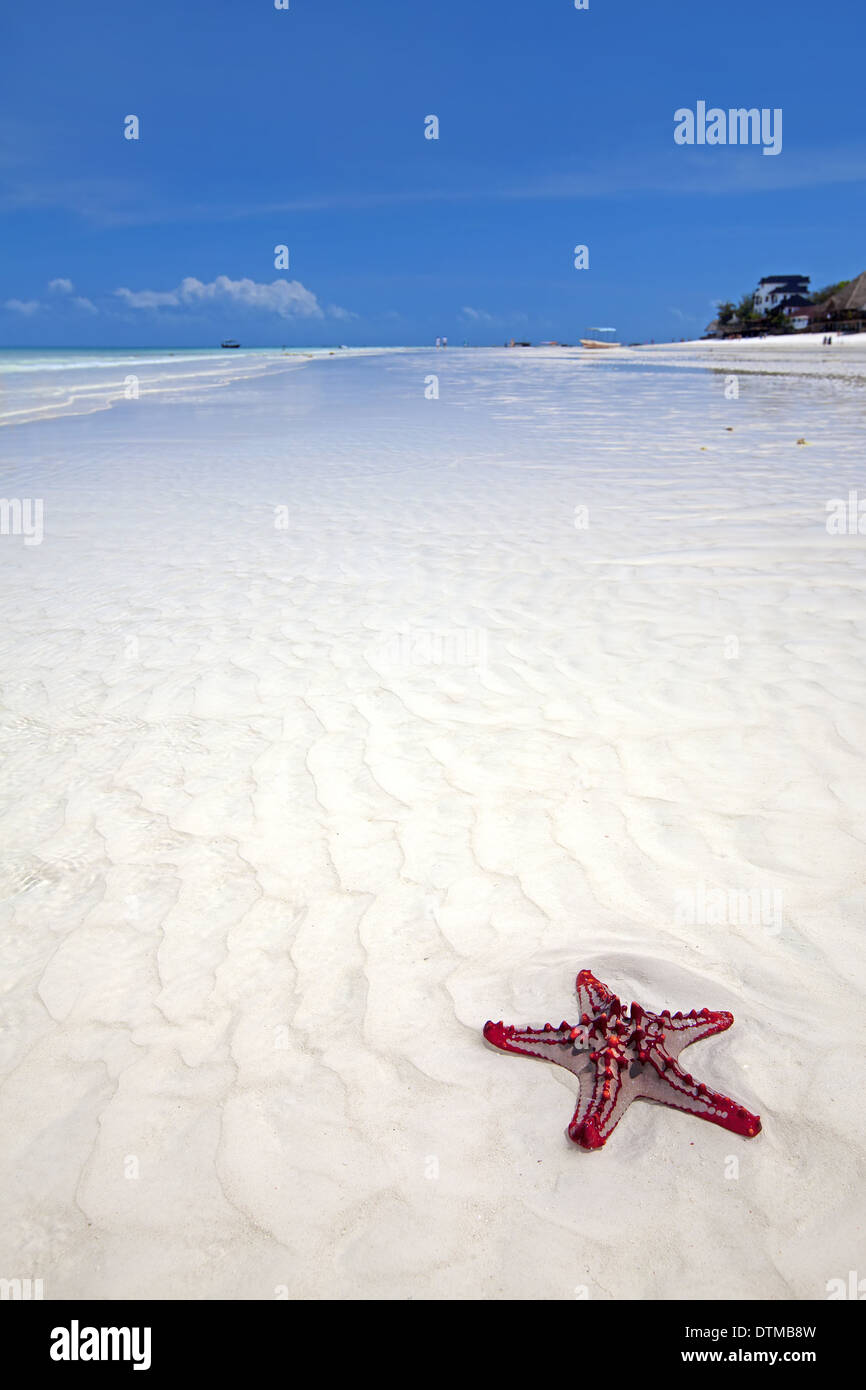 Plage de Zanzibar Banque D'Images