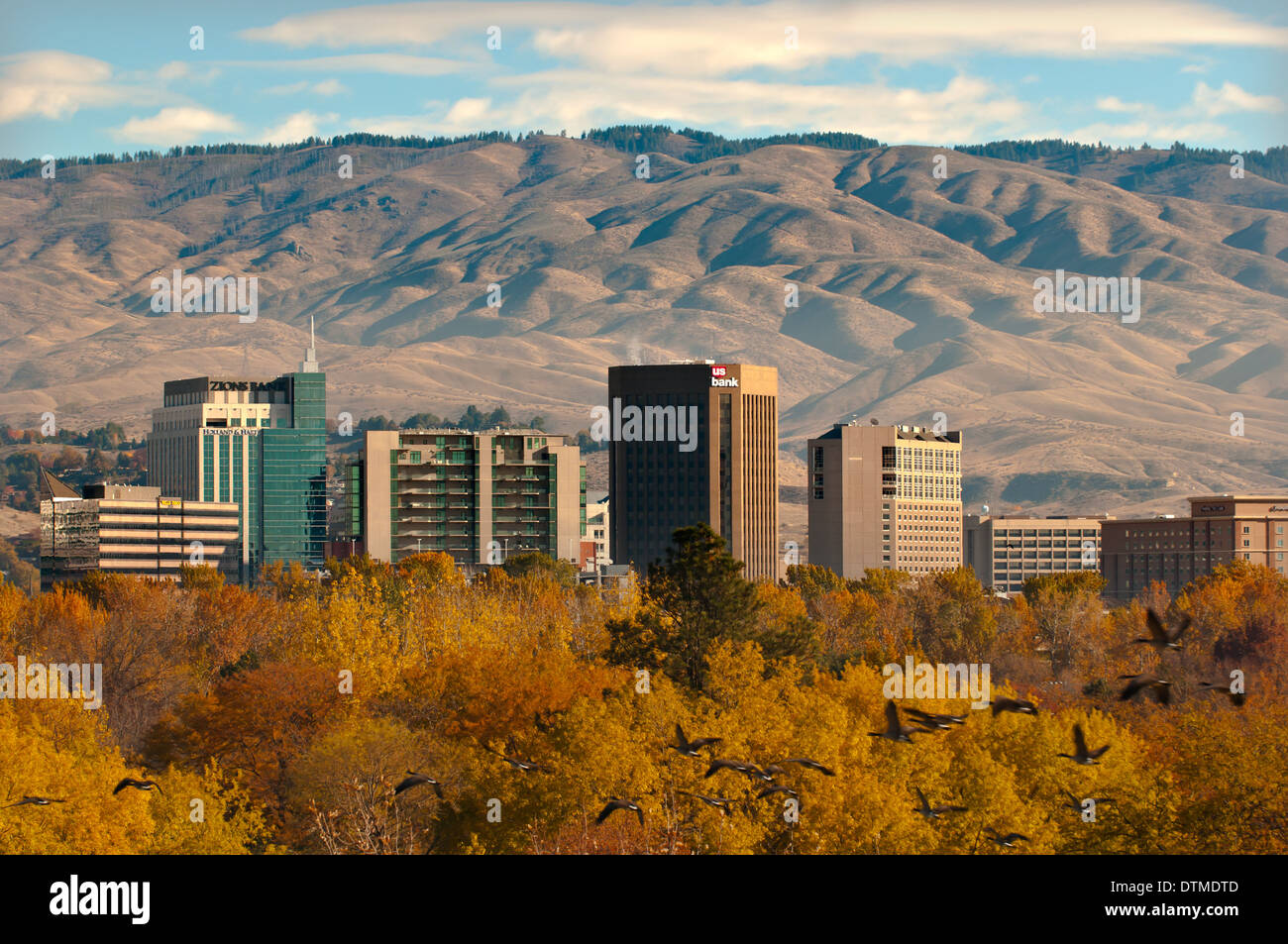 Ville de Boise, en couleurs d'automne avec Ann Morrison Park et oies sauvages en premier plan, Boise, Idaho, USA Banque D'Images